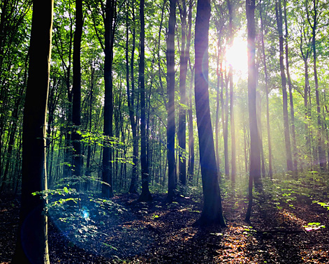 Edelverpackungen / Premium Verpackungen - nachhaltig und ökologisch produziert in Deutschland Herstellung von ökologischen Premium Verpackungen in Deutschland