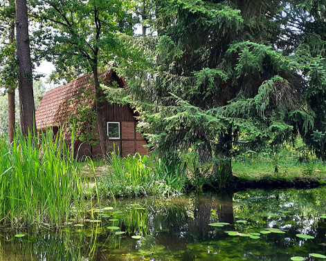 Ökologische Verpackungen Herstellung von ökologischen Verpackungen in Deutschland